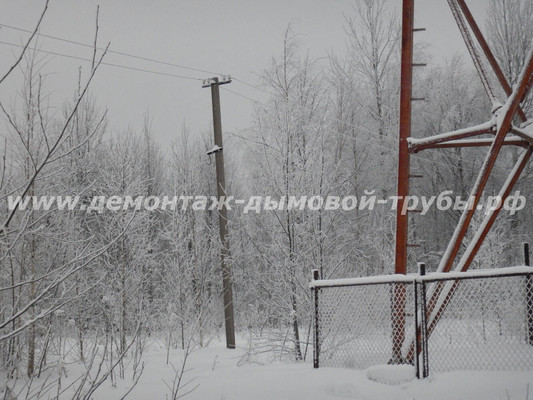 Демонтаж башни связи Ростелеком на территории Валдайского национального парка (Новгородская область)