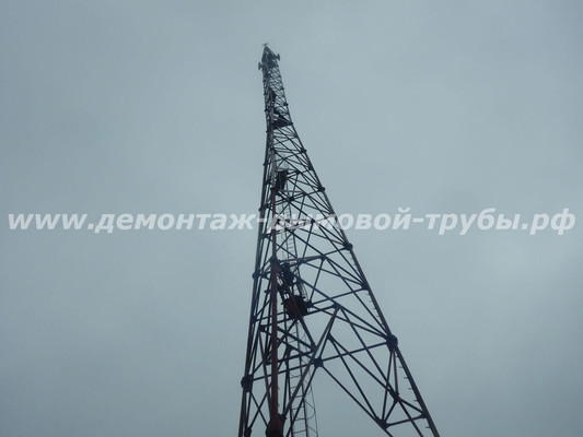 Демонтаж башни связи Ростелеком на территории Валдайского национального парка (Новгородская область)